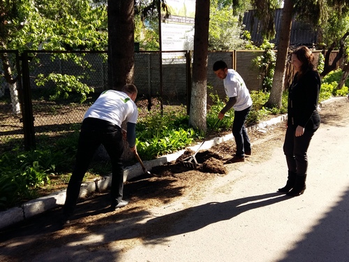 day bpt 04
