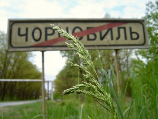 1450453210 news3559