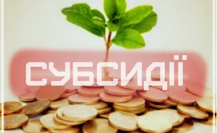 subsidiyi 710x4341