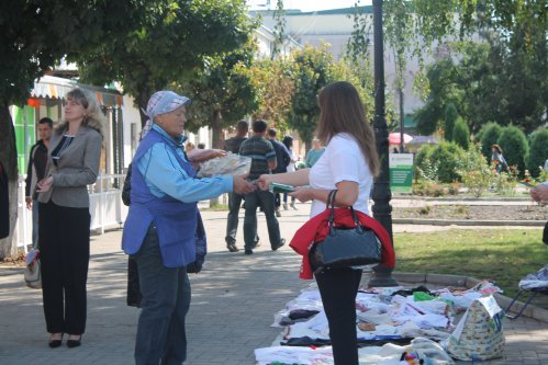 IMG 3182 499x333