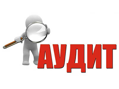 audit 1