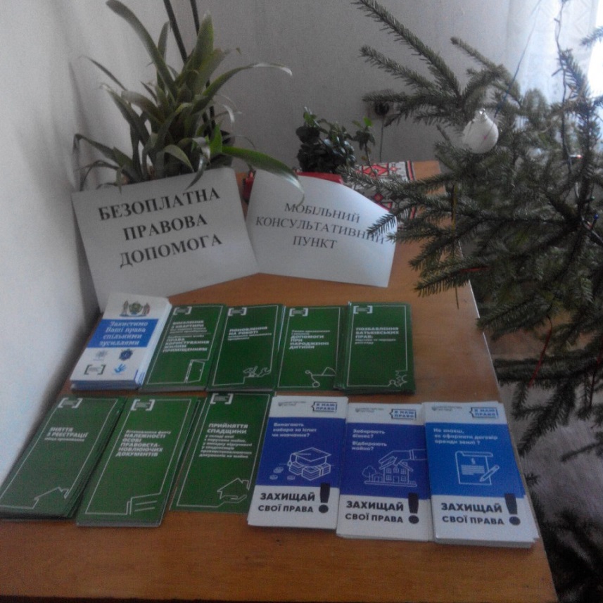 Stryi pruyom3