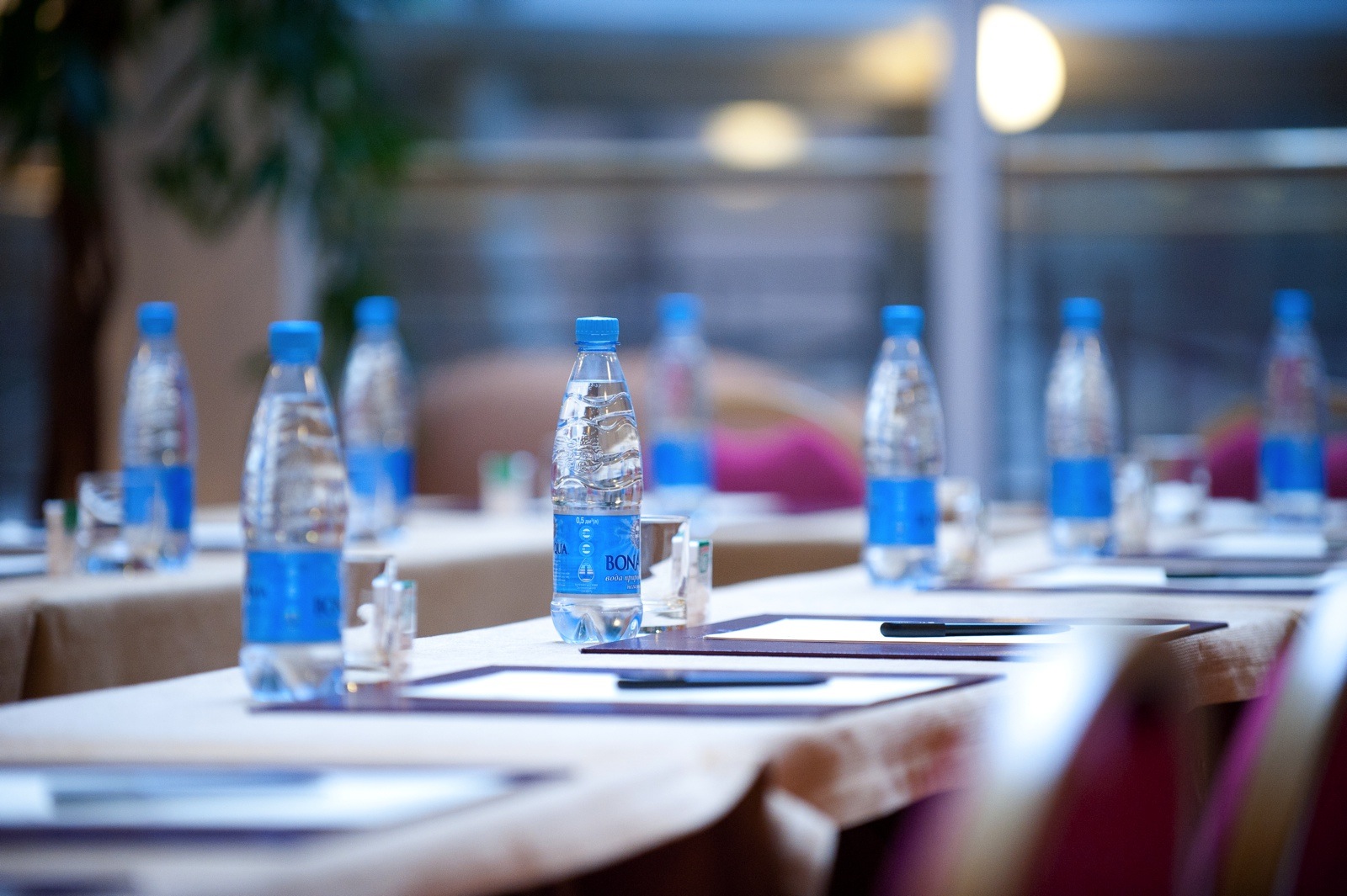 Conference detaild