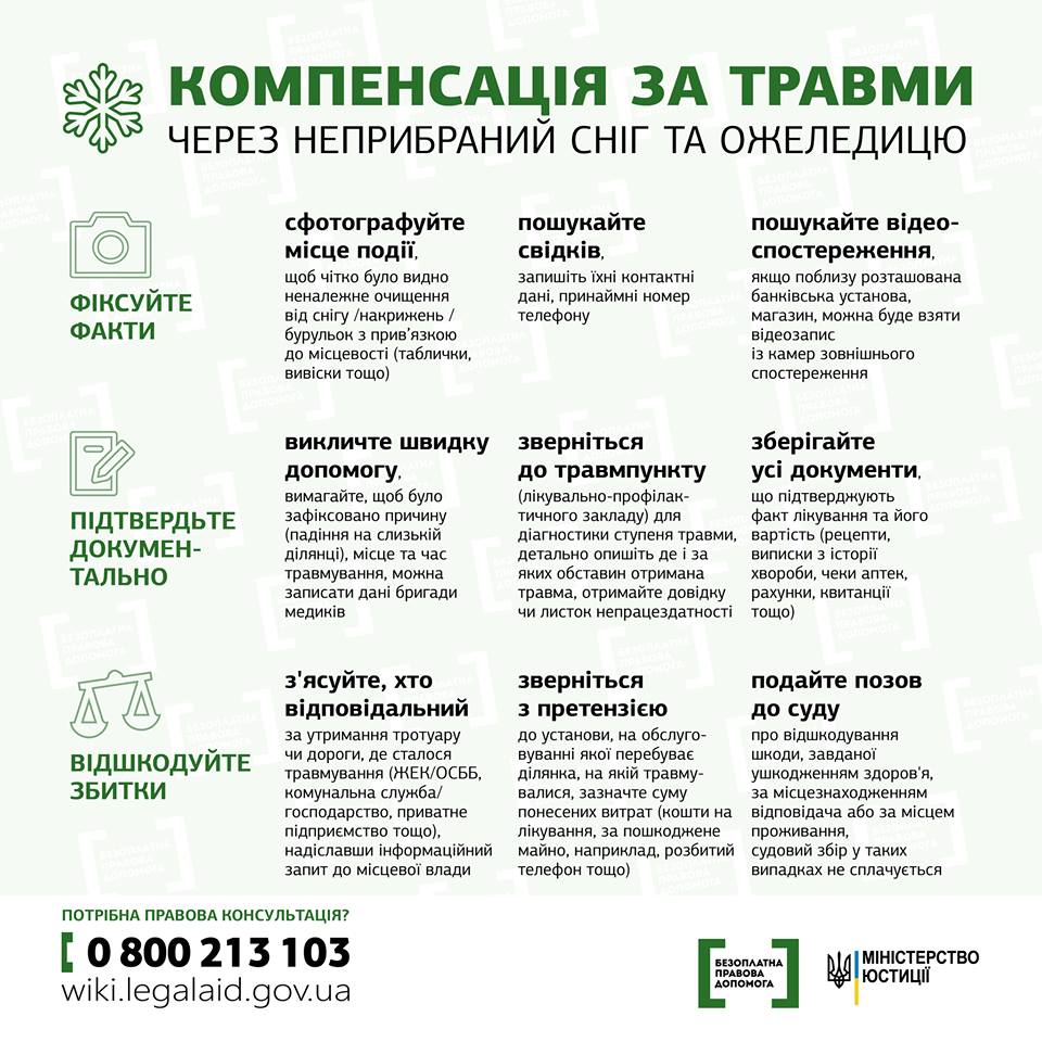 ozheledica