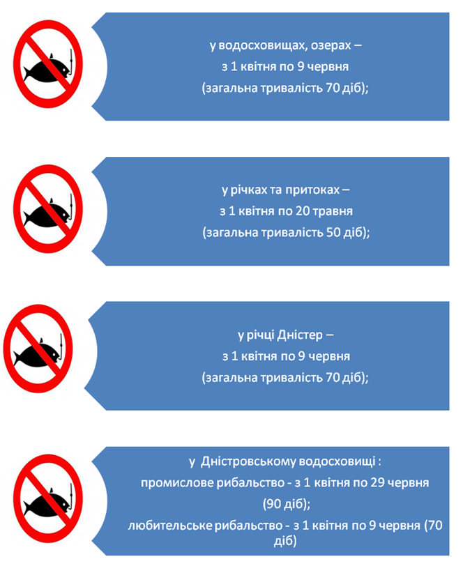 ryba 3