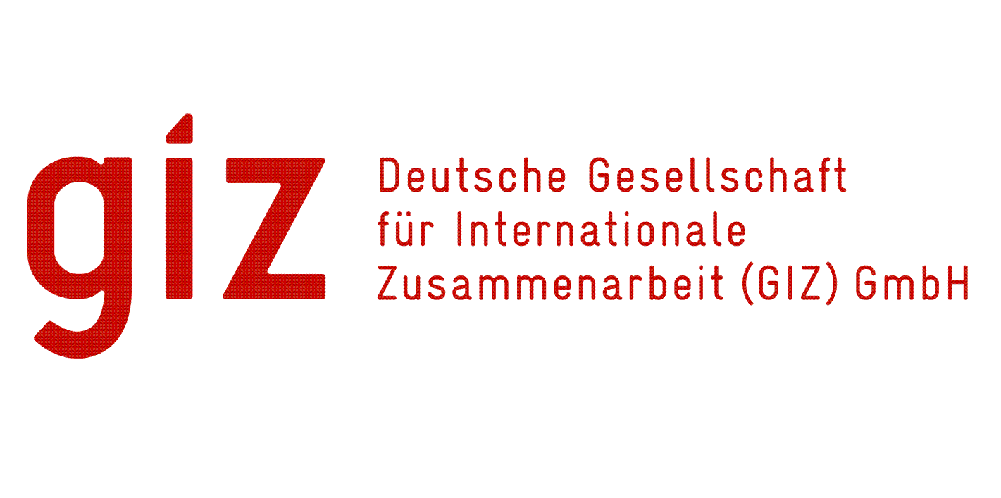 giz logo