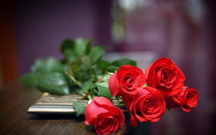 rosa